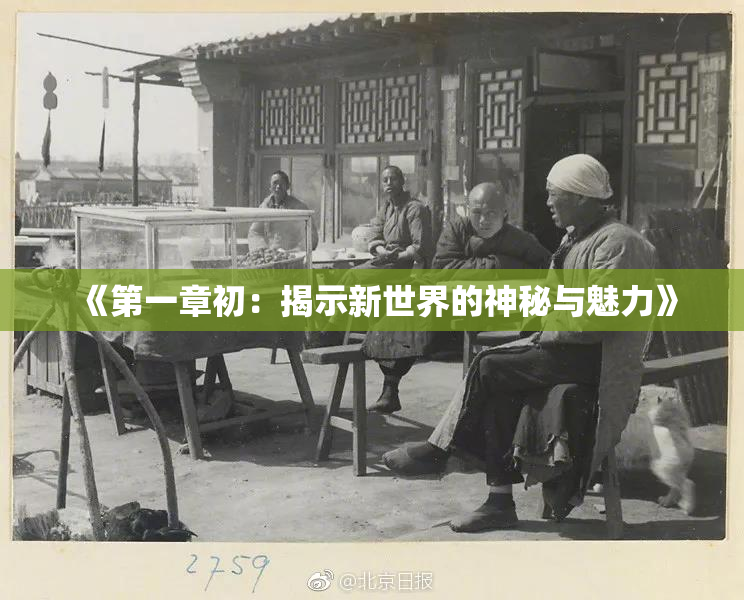 《第一章初：揭示新世界的神秘与魅力》