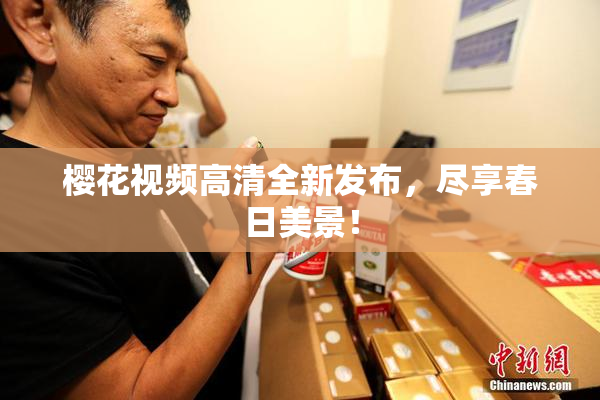 樱花视频高清全新发布，尽享春日美景！