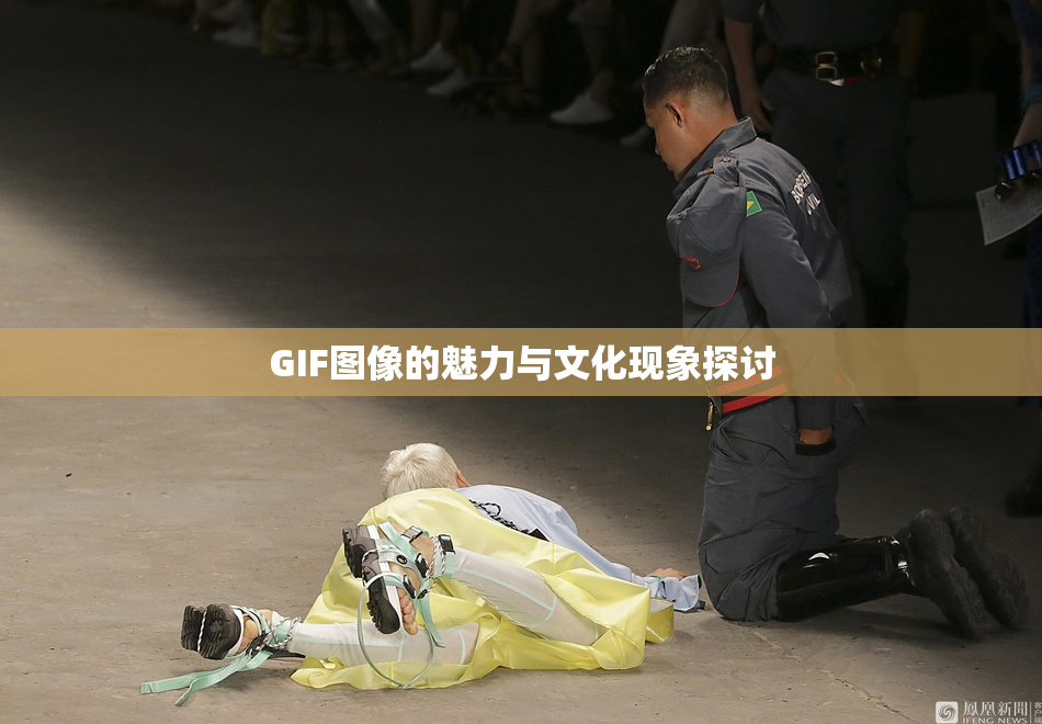 GIF图像的魅力与文化现象探讨