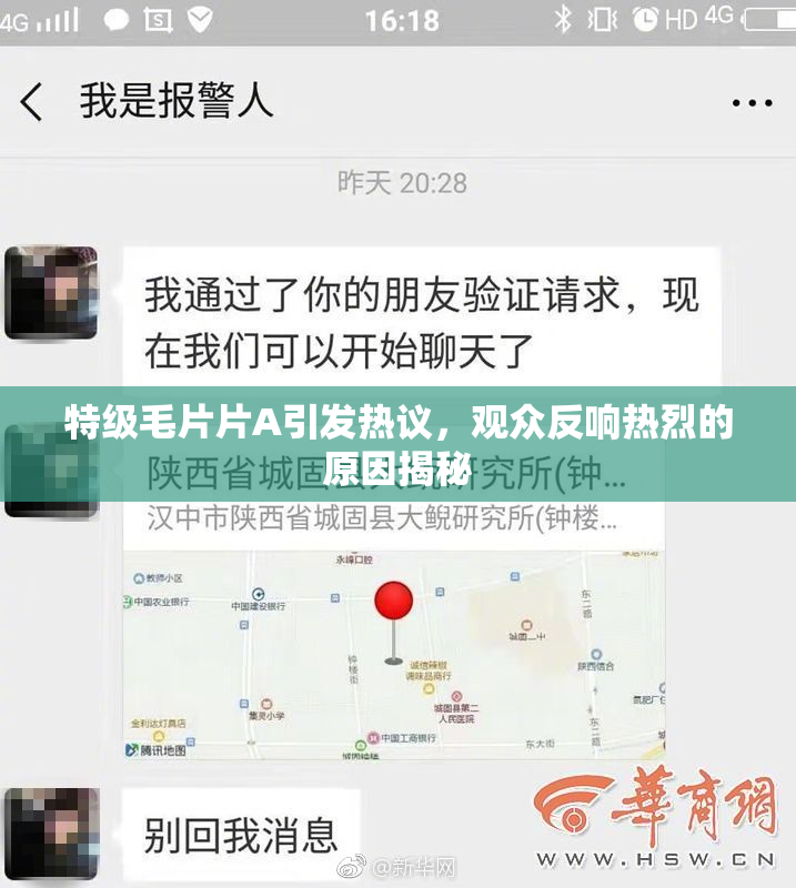特级毛片片A引发热议，观众反响热烈的原因揭秘