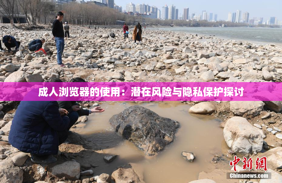成人浏览器的使用：潜在风险与隐私保护探讨