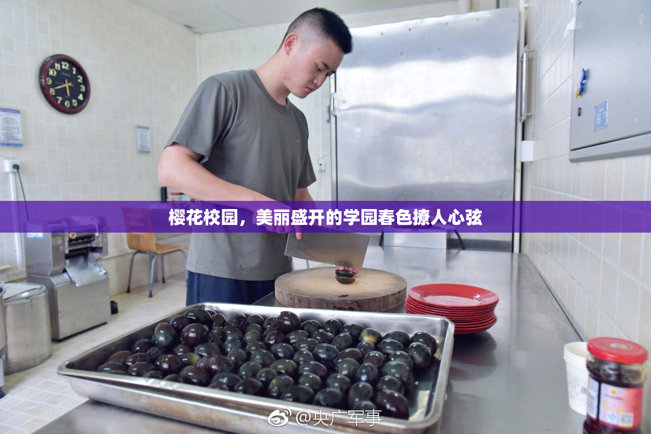 樱花校园，美丽盛开的学园春色撩人心弦