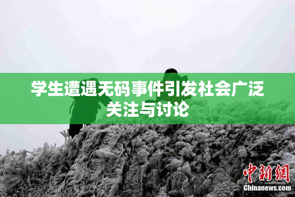 学生遭遇无码事件引发社会广泛关注与讨论