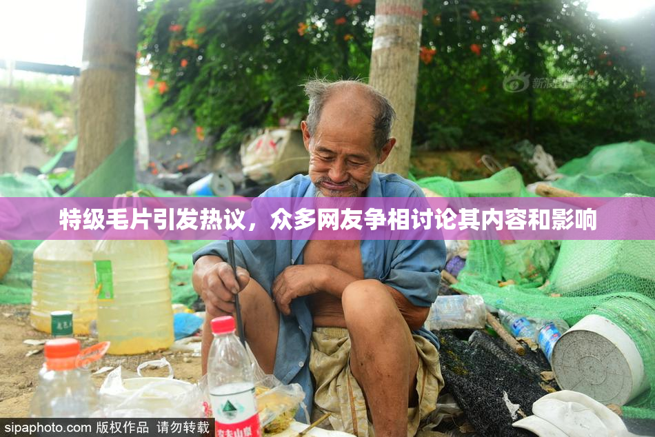 特级毛片引发热议，众多网友争相讨论其内容和影响