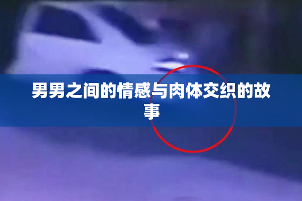 男男之间的情感与肉体交织的故事