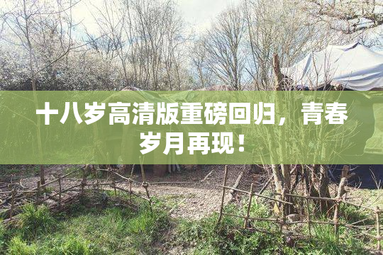 十八岁高清版重磅回归，青春岁月再现！