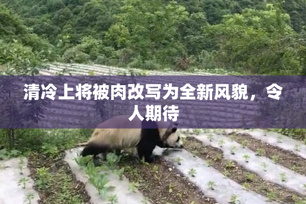 清冷上将被肉改写为全新风貌，令人期待