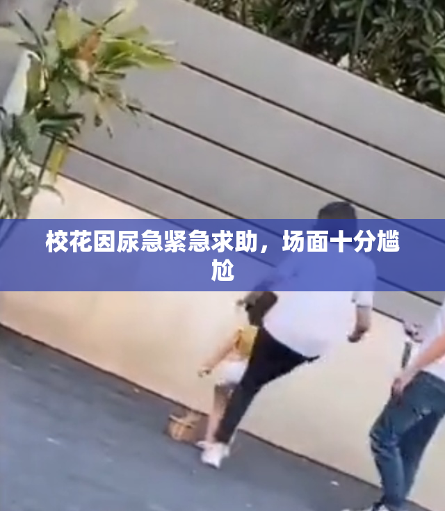 校花因尿急紧急求助，场面十分尴尬