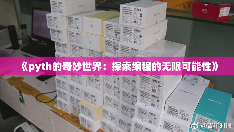 《pyth的奇妙世界：探索编程的无限可能性》
