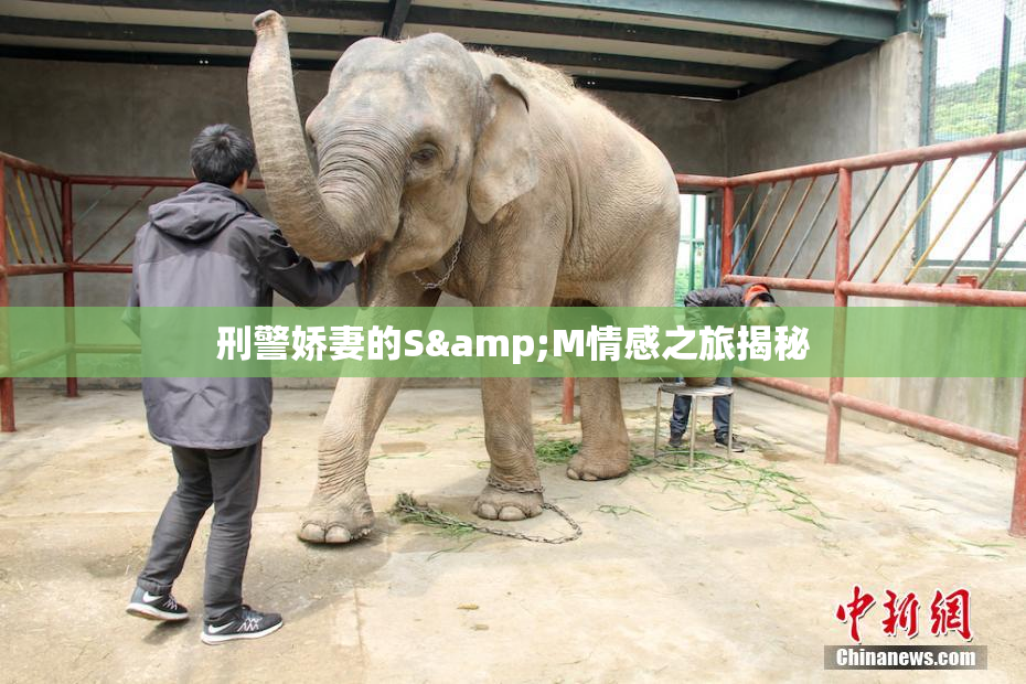 刑警娇妻的S&M情感之旅揭秘