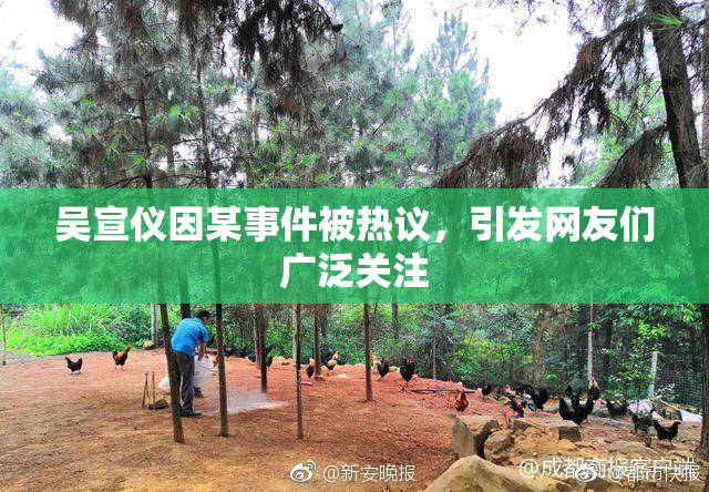 吴宣仪因某事件被热议，引发网友们广泛关注