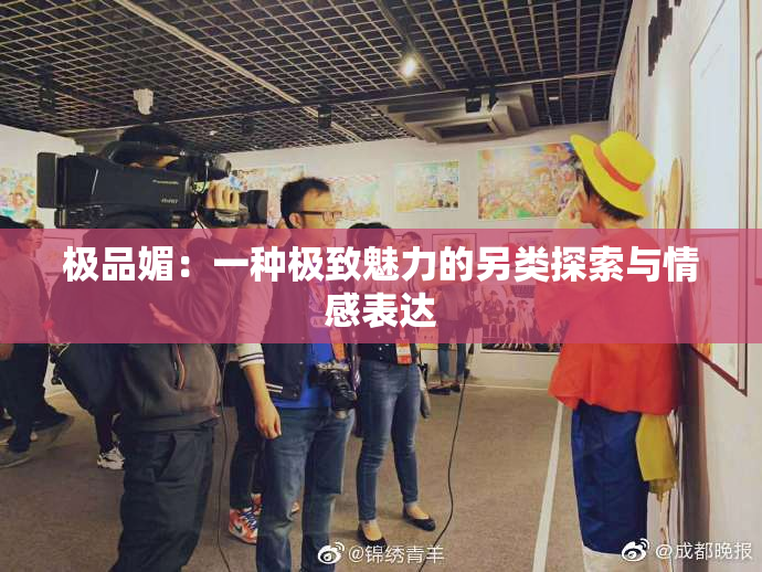 极品媚：一种极致魅力的另类探索与情感表达