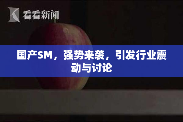 国产SM，强势来袭，引发行业震动与讨论