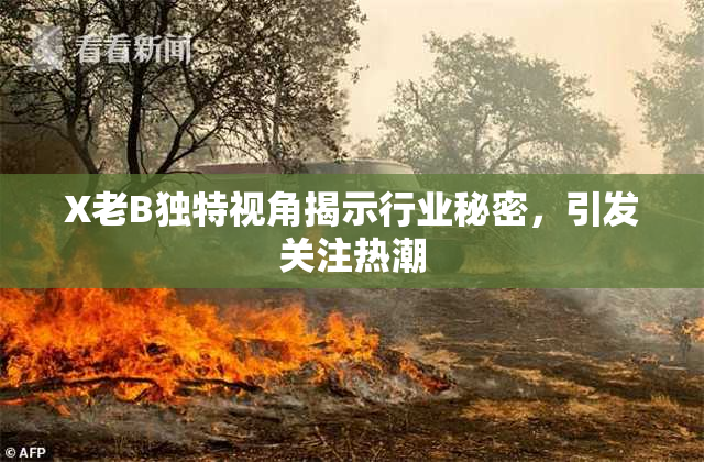 X老B独特视角揭示行业秘密，引发关注热潮