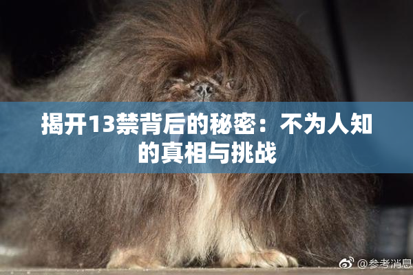 揭开13禁背后的秘密：不为人知的真相与挑战