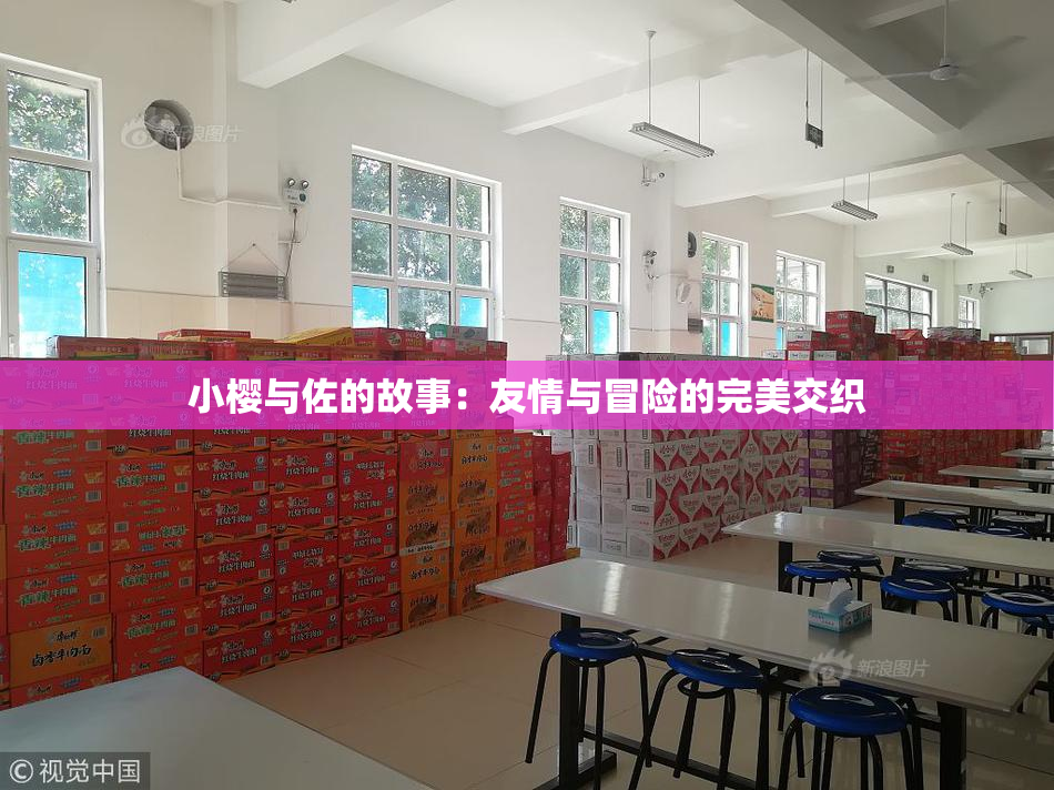 小樱与佐的故事：友情与冒险的完美交织