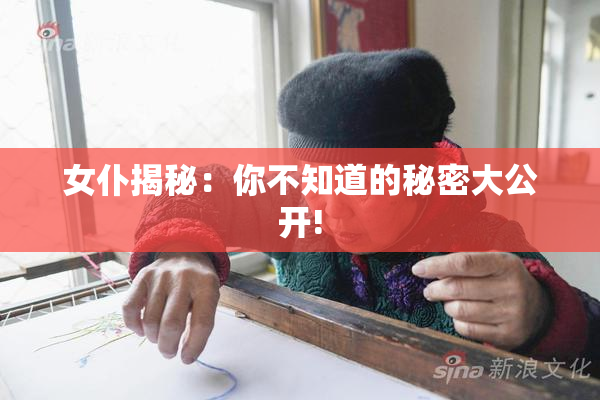 女仆揭秘：你不知道的秘密大公开!