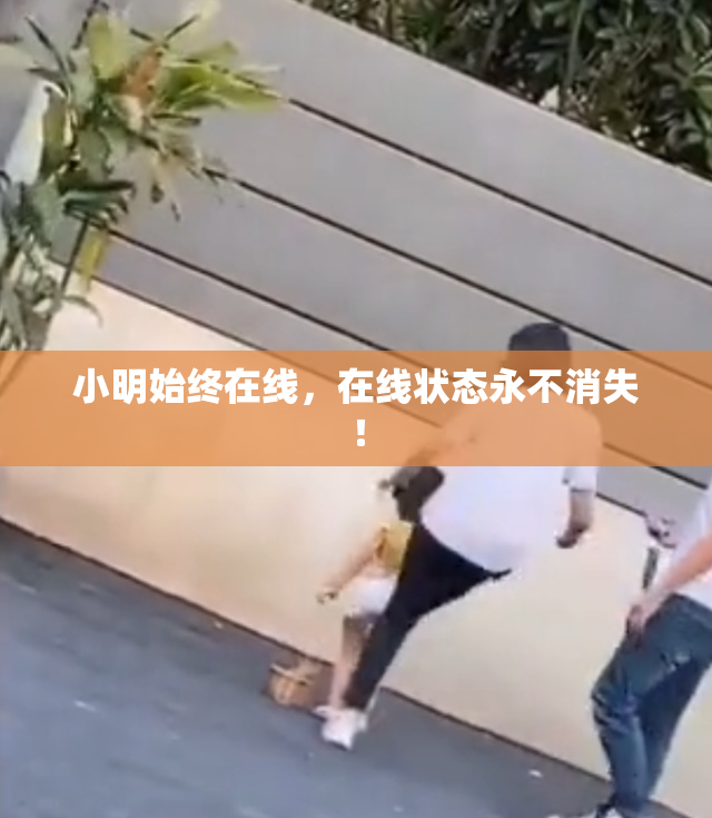 小明始终在线，在线状态永不消失！