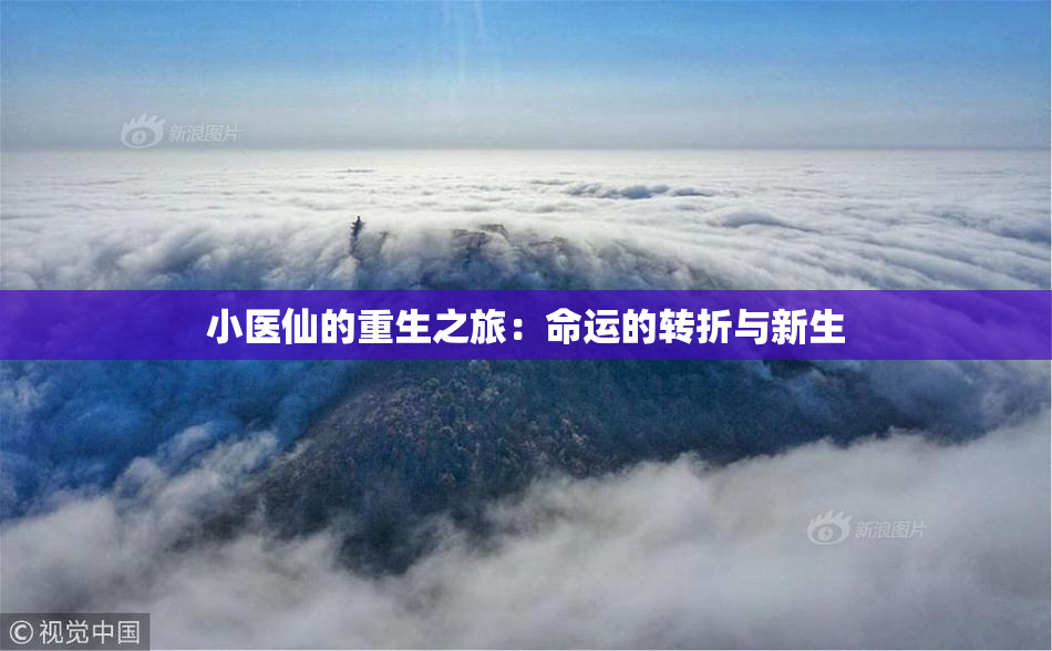 小医仙的重生之旅：命运的转折与新生