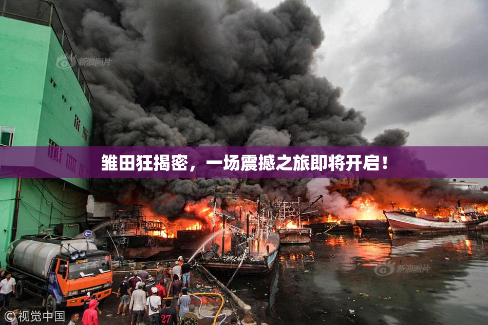 雏田狂揭密，一场震撼之旅即将开启！