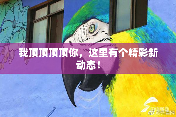 我顶顶顶顶你，这里有个精彩新动态！