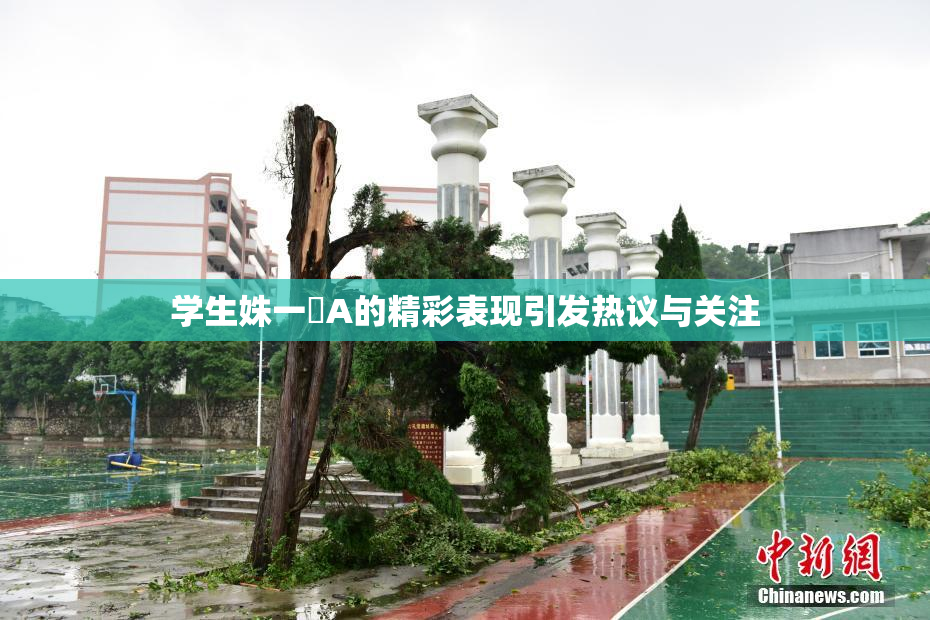 学生姝一﨤A的精彩表现引发热议与关注