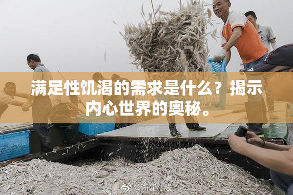 满足性饥渴的需求是什么？揭示内心世界的奥秘。