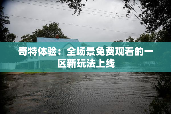 奇特体验：全场景免费观看的一区新玩法上线