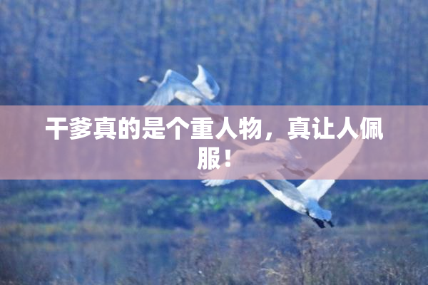 干爹真的是个重人物，真让人佩服！