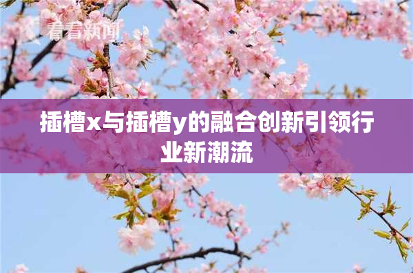 插槽x与插槽y的融合创新引领行业新潮流