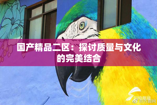 国产精品二区：探讨质量与文化的完美结合