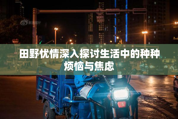 田野忧情深入探讨生活中的种种烦恼与焦虑