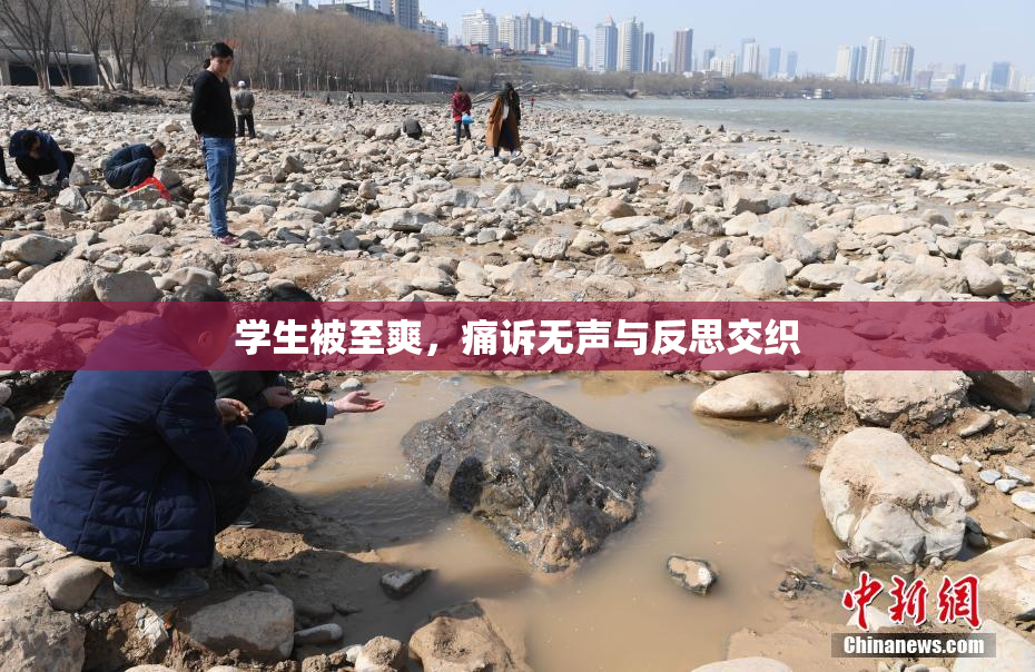 学生被至爽，痛诉无声与反思交织