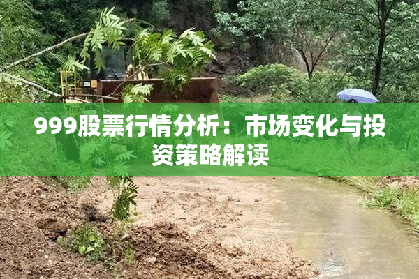 999股票行情分析：市场变化与投资策略解读