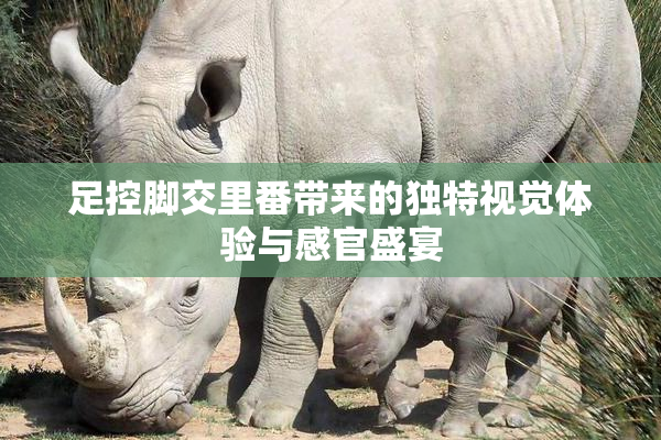 足控脚交里番带来的独特视觉体验与感官盛宴