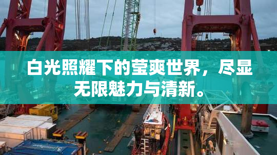 白光照耀下的莹爽世界，尽显无限魅力与清新。