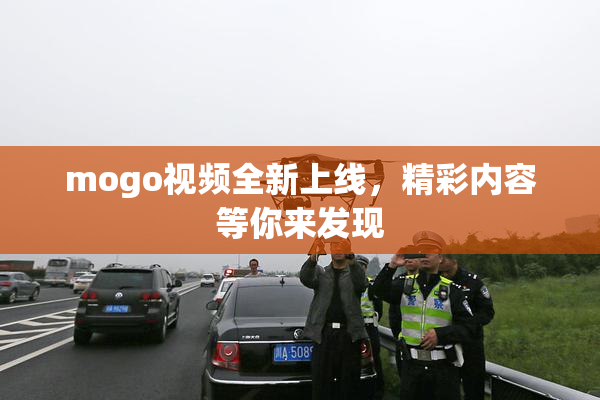 mogo视频全新上线，精彩内容等你来发现