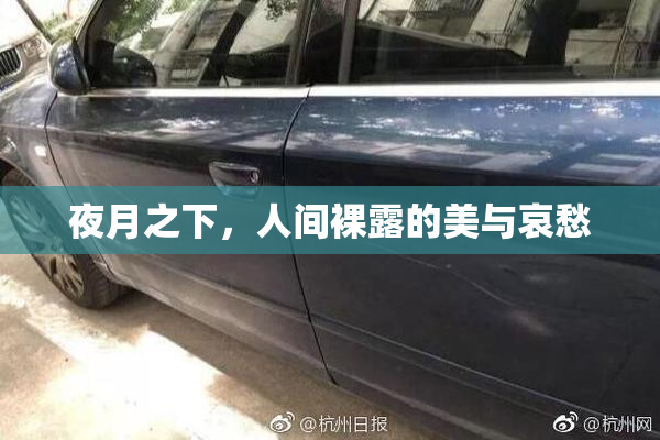夜月之下，人间裸露的美与哀愁