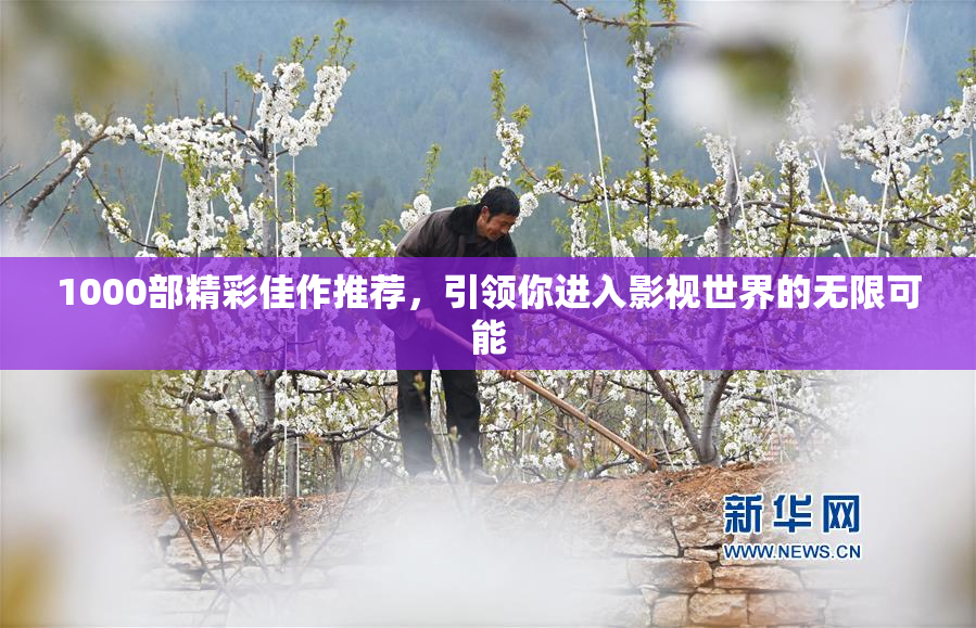 1000部精彩佳作推荐，引领你进入影视世界的无限可能