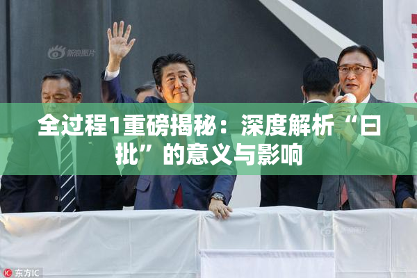 全过程1重磅揭秘：深度解析“曰批”的意义与影响