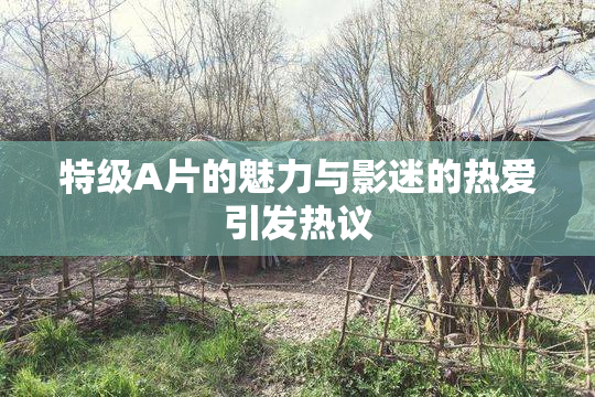 特级A片的魅力与影迷的热爱引发热议