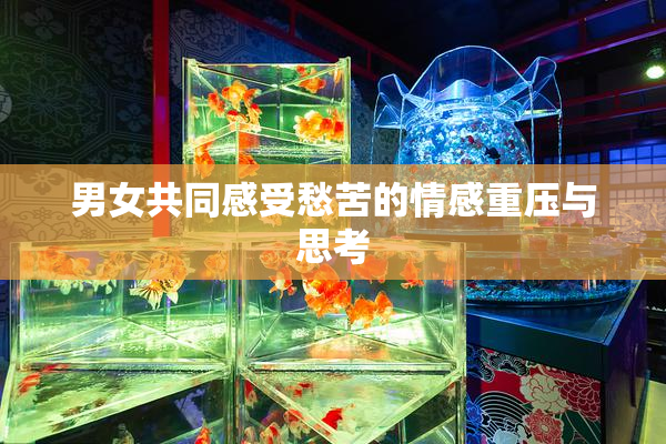 男女共同感受愁苦的情感重压与思考