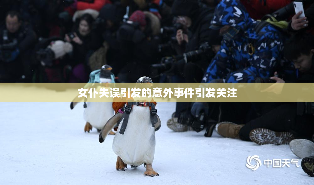 女仆失误引发的意外事件引发关注