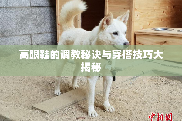 高跟鞋的调教秘诀与穿搭技巧大揭秘