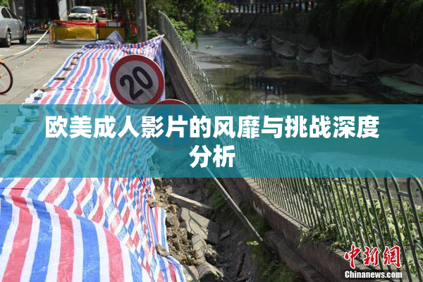 欧美成人影片的风靡与挑战深度分析