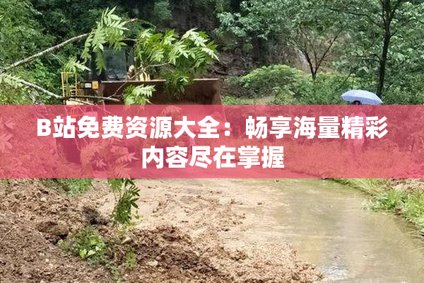 B站免费资源大全：畅享海量精彩内容尽在掌握