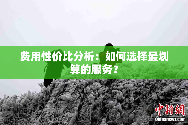 费用性价比分析：如何选择最划算的服务？