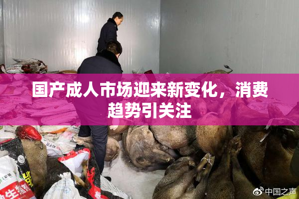 国产成人市场迎来新变化，消费趋势引关注
