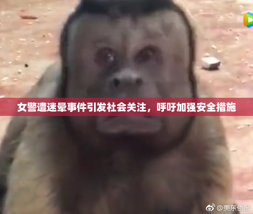 女警遭迷晕事件引发社会关注，呼吁加强安全措施