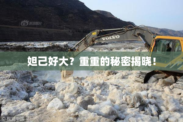 妲己好大？重重的秘密揭晓！